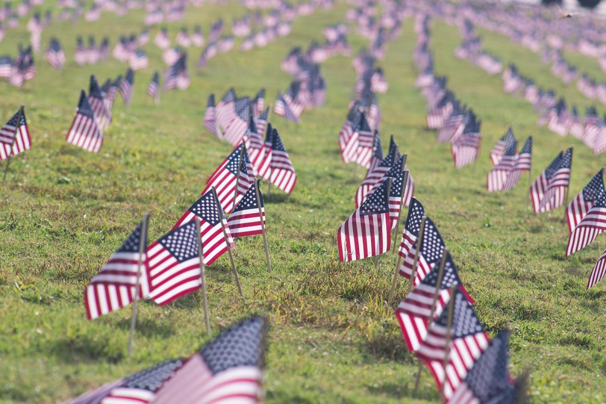 Photo of American flags