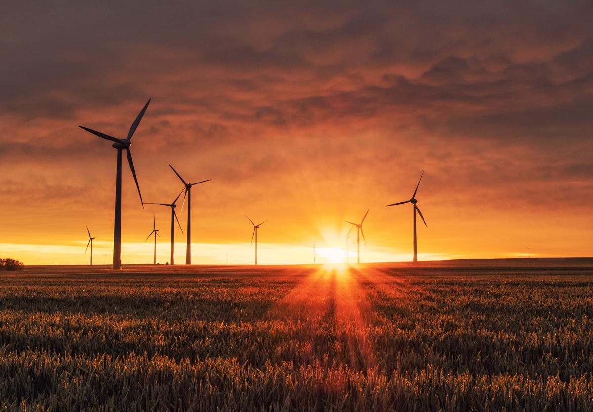 Photo of a sunrise on a wind farm